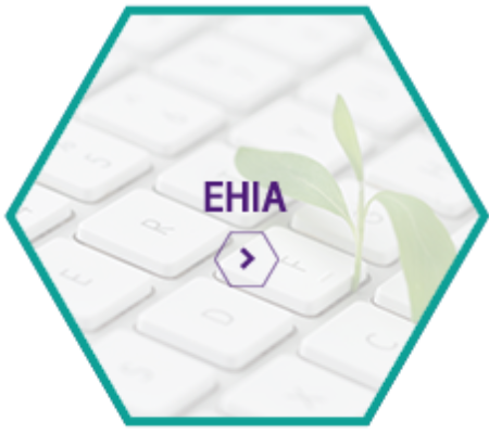 Image Icon