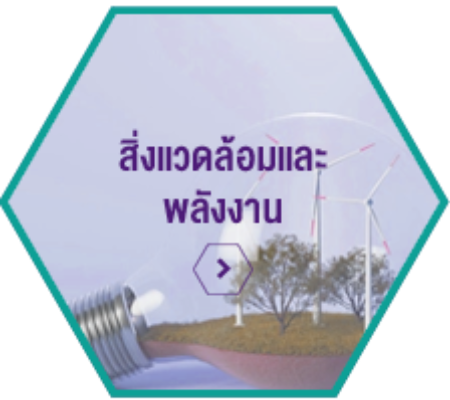 Image Icon