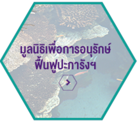 Image Icon