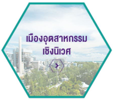 Image Icon